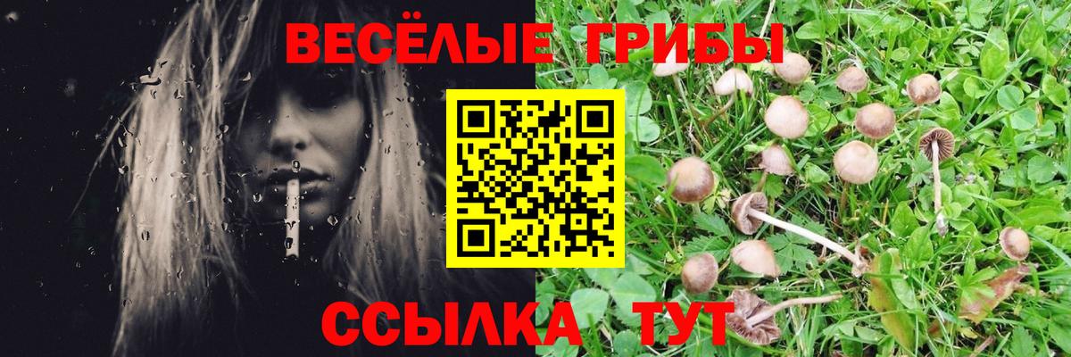 Южно-Сахалинск  Галлюциногенные грибы Psilocybine cubensis  Вход с VPN 