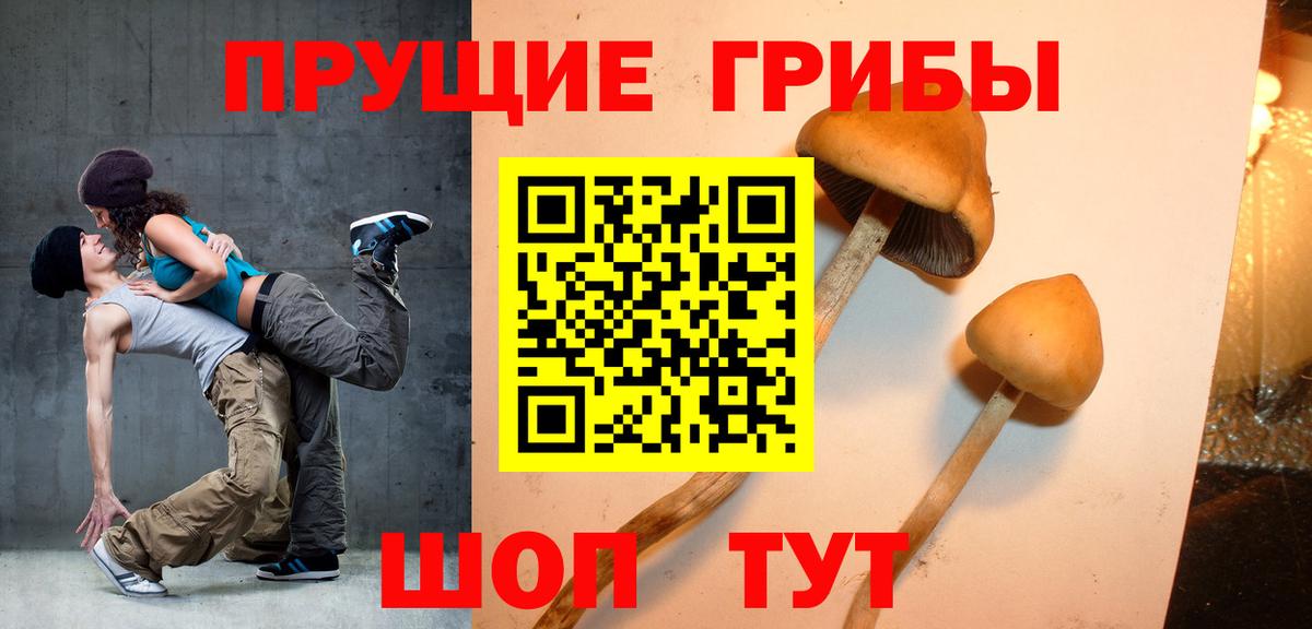 Псилоцибиновые грибы мицелий Южно-Сахалинск